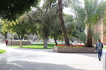 campus