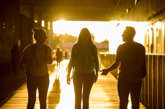 People walking down a path in sun