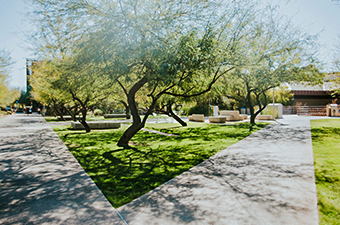 paths diverging