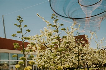 ASU downtown campus